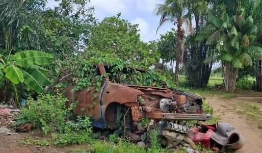 Véhicule hors d’usage abandonné en Guyane